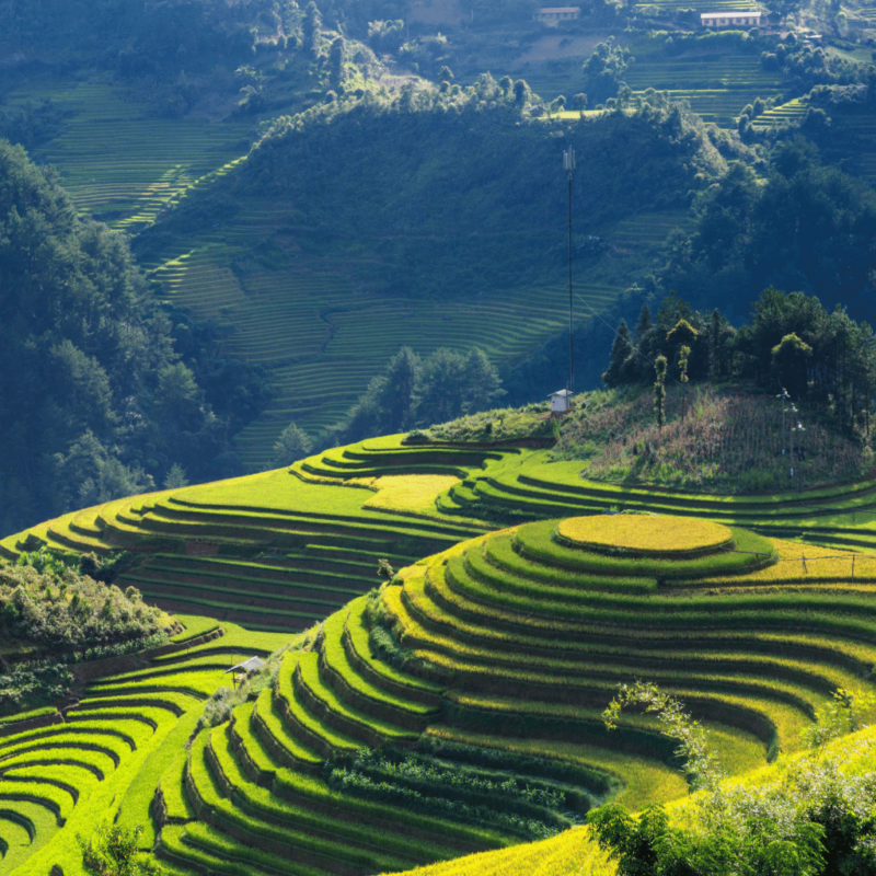 Vietnam Best Package Holidays