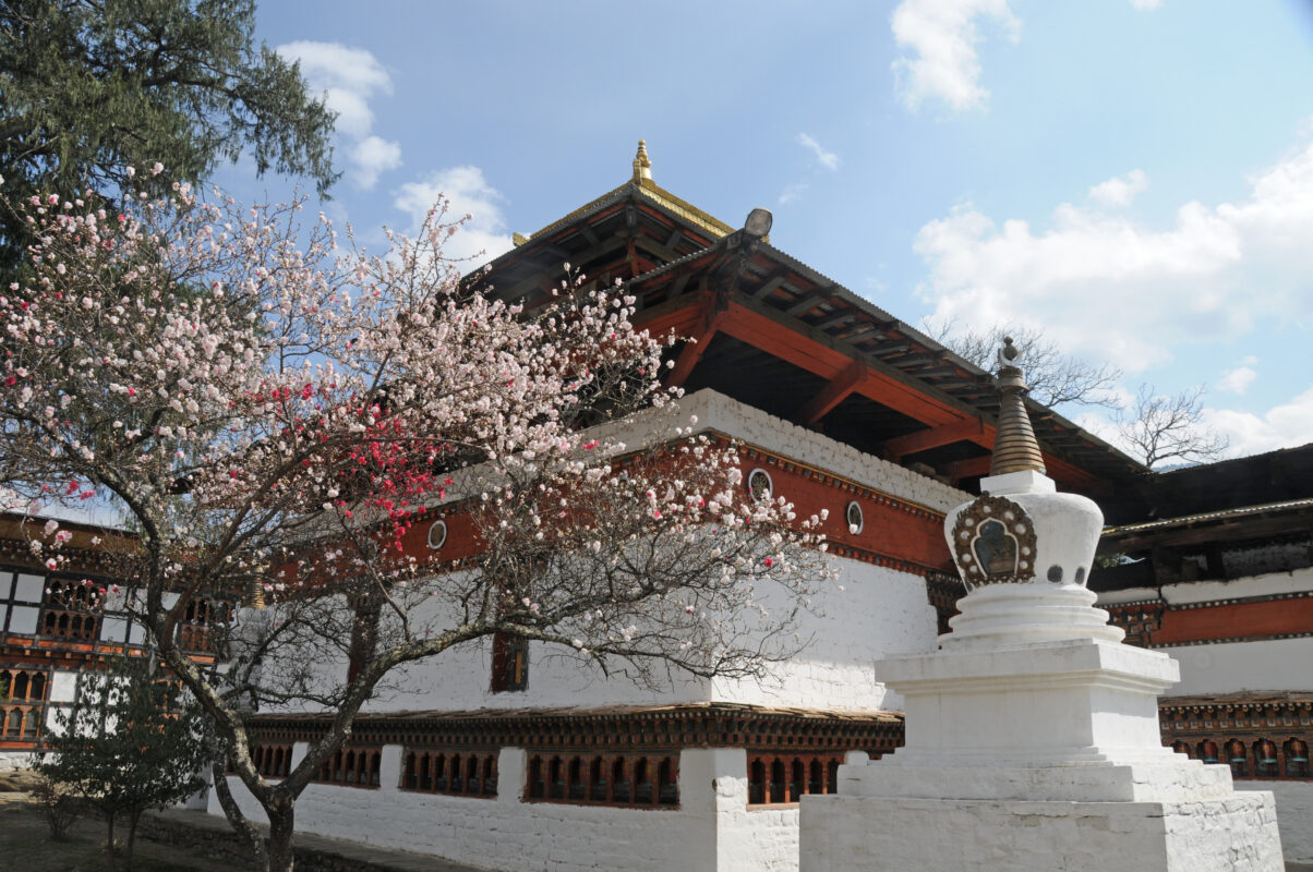 Asiara Holidays